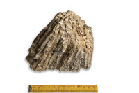 F 00886
<br/>
<br/>
<em></em>